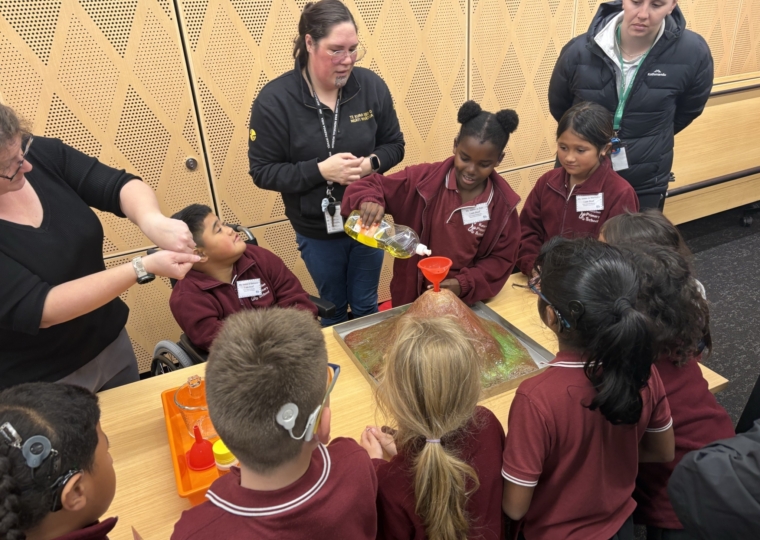 Kelston Primary visit to the museum